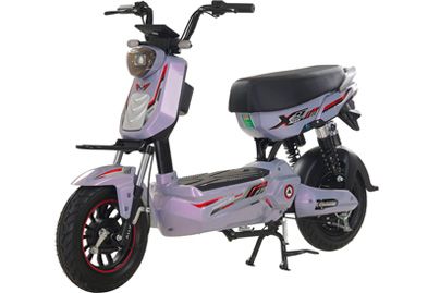 Xe Đạp Điện Ally X9 Dùng 4 (Đầy Đủ Giấy Tờ)