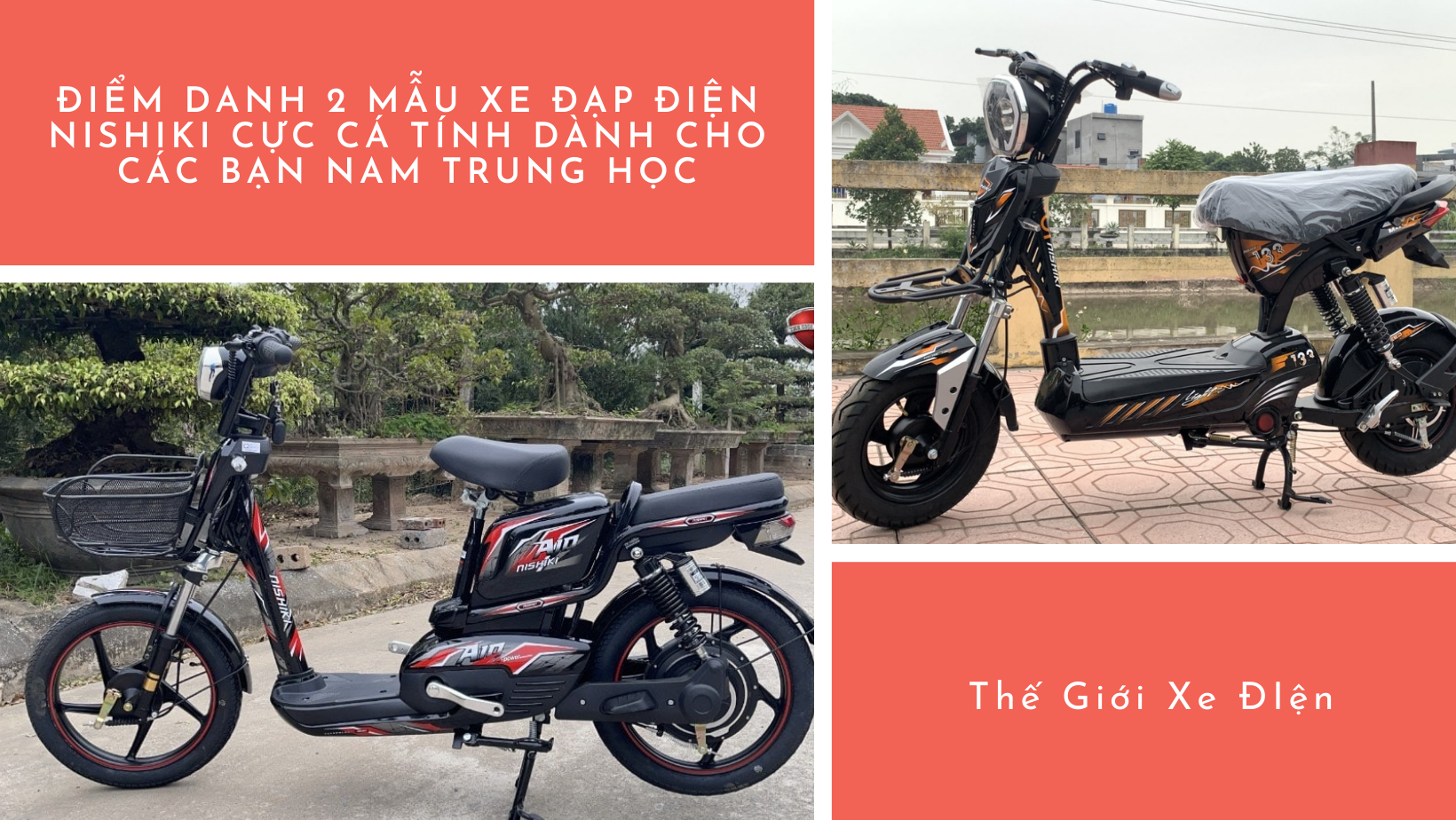 Xe đạp điện Xe đạp điện