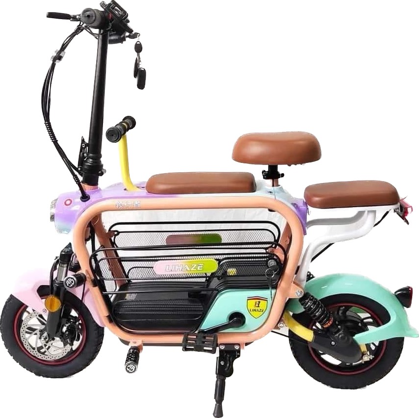 Xe Đạp Điện Gấp dành cho du lịch Dylexe - Lihaze Xe Đạp Điện Gấp dành cho du lịch Dylexe - Lihaze