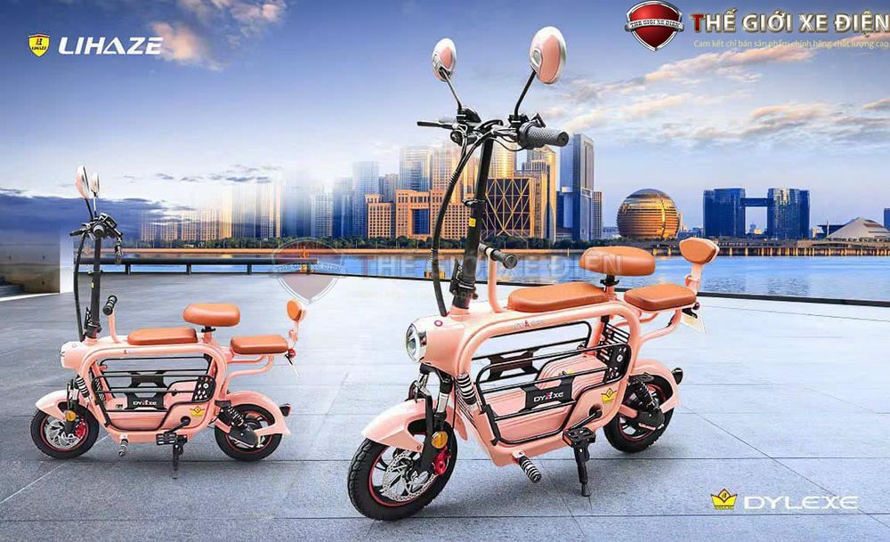 Xe Đạp Điện Gấp Dylexe - Lihaze Xe Đạp Điện Gấp Dylexe - Lihaze