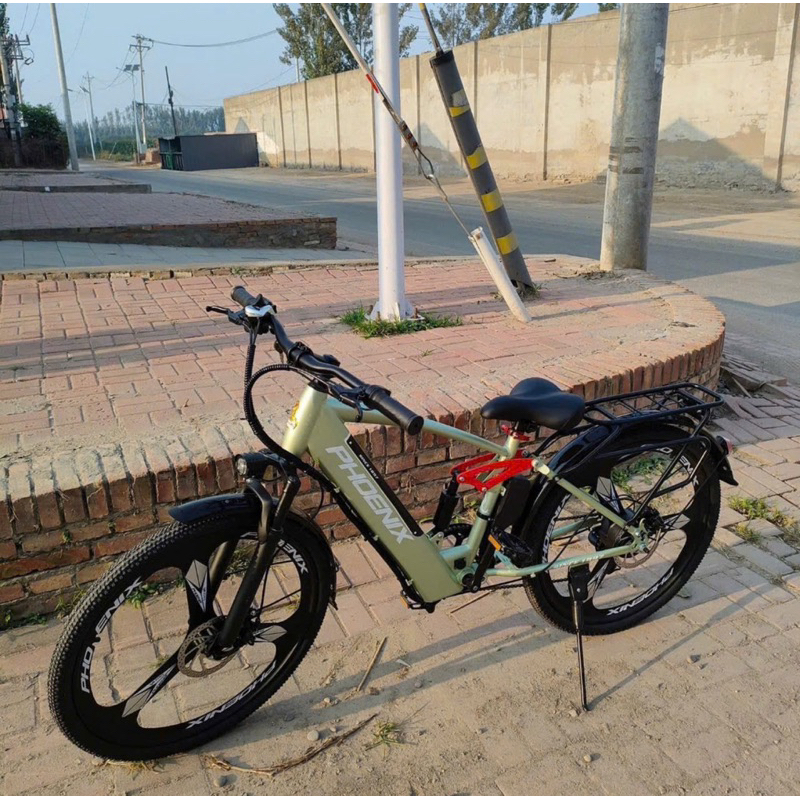 Xe trợ lực điện Phoenix G2 Xe trợ lực điện Phoenix G2