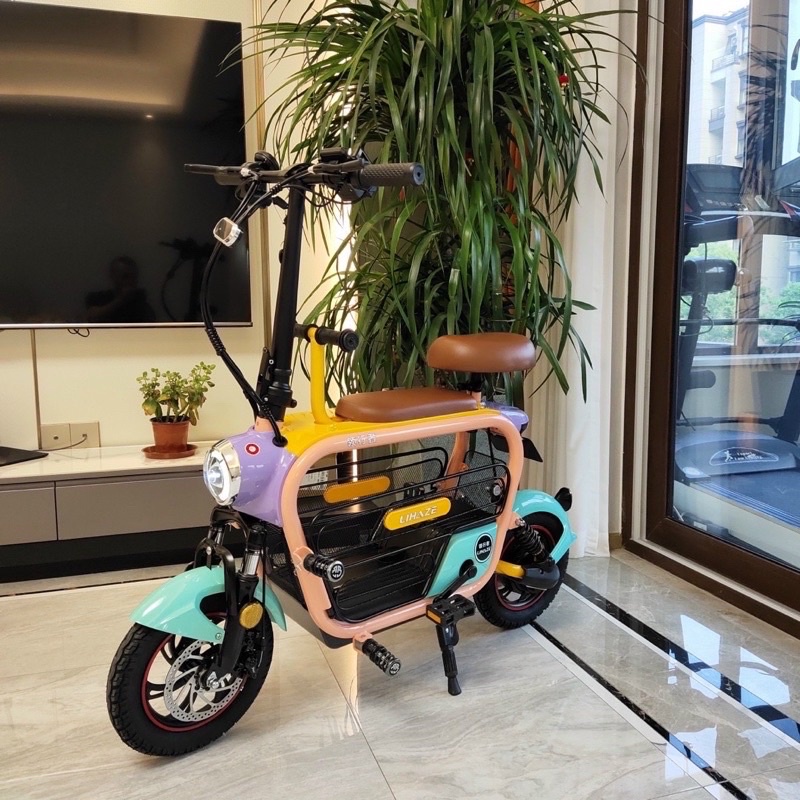 Xe Đạp Điện Gấp Dylexe - Lihaze Xe Đạp Điện Gấp Dylexe - Lihaze