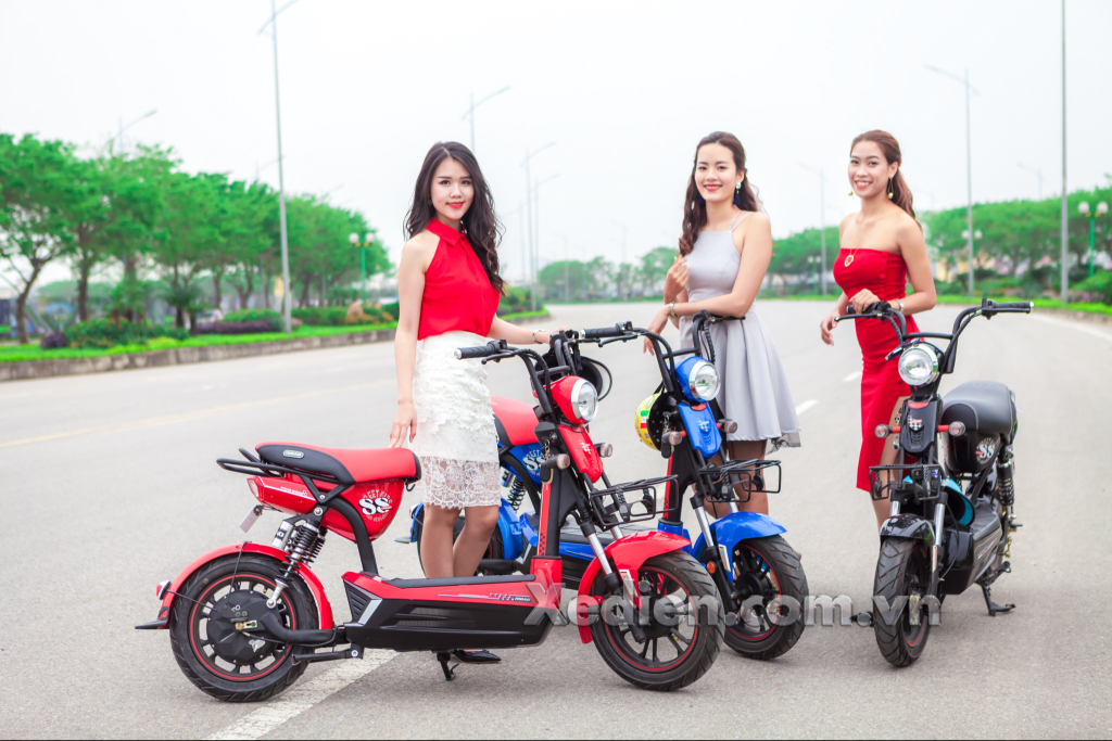 Xe điện Dibao 133S Xe điện Dibao 133S