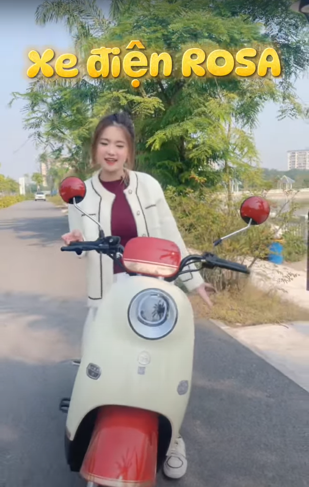 dibao rosa dibao rosa