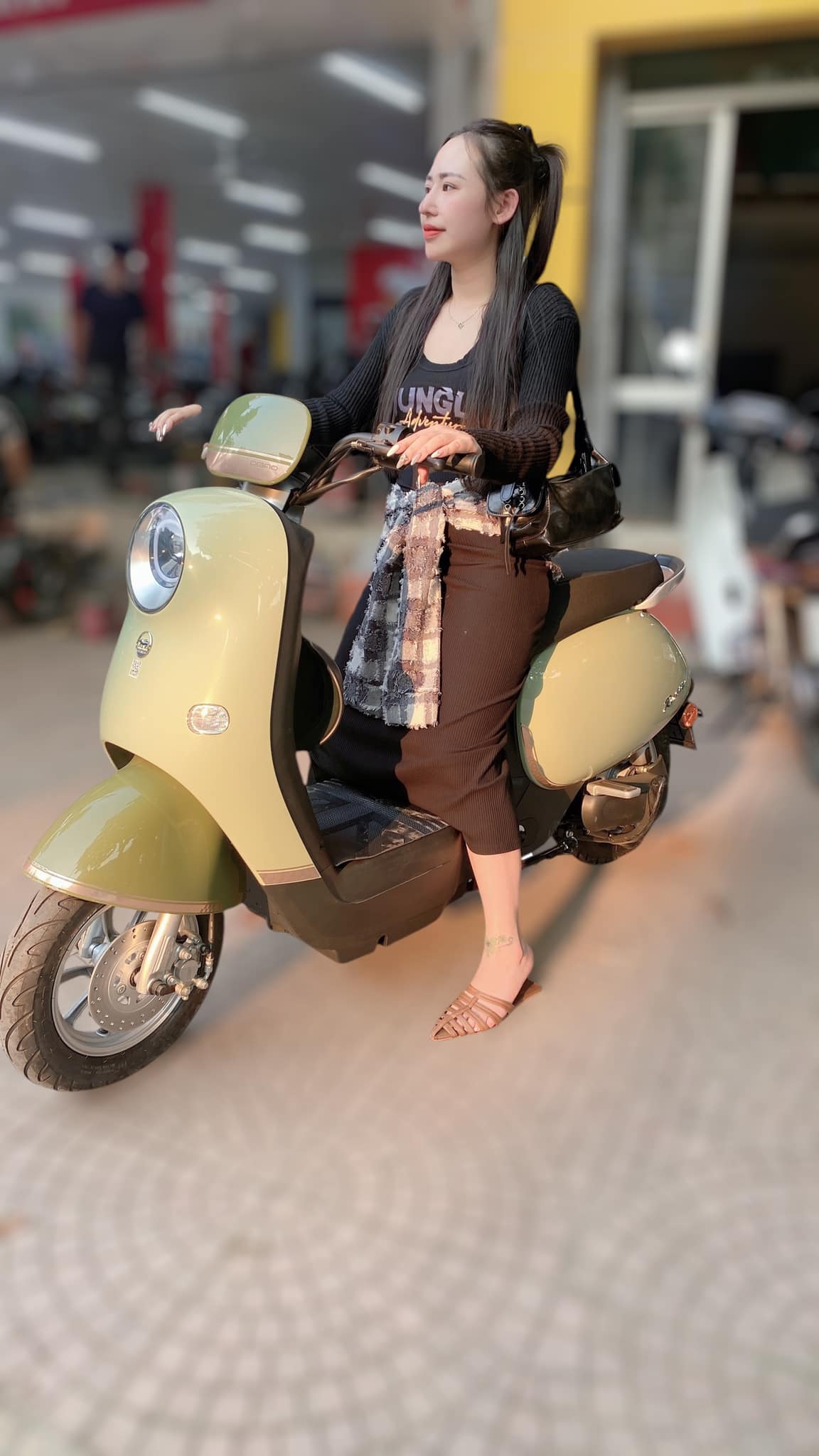 dibao rosa dibao rosa