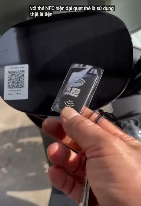 dibao rosa dibao rosa