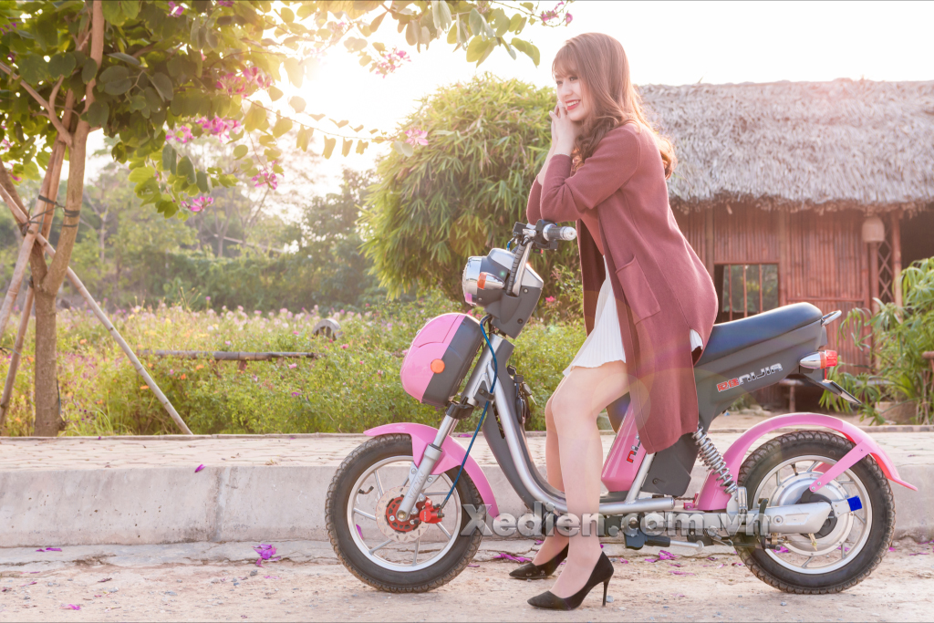 Xe điện Nijia 2016 Xe điện Nijia 2016