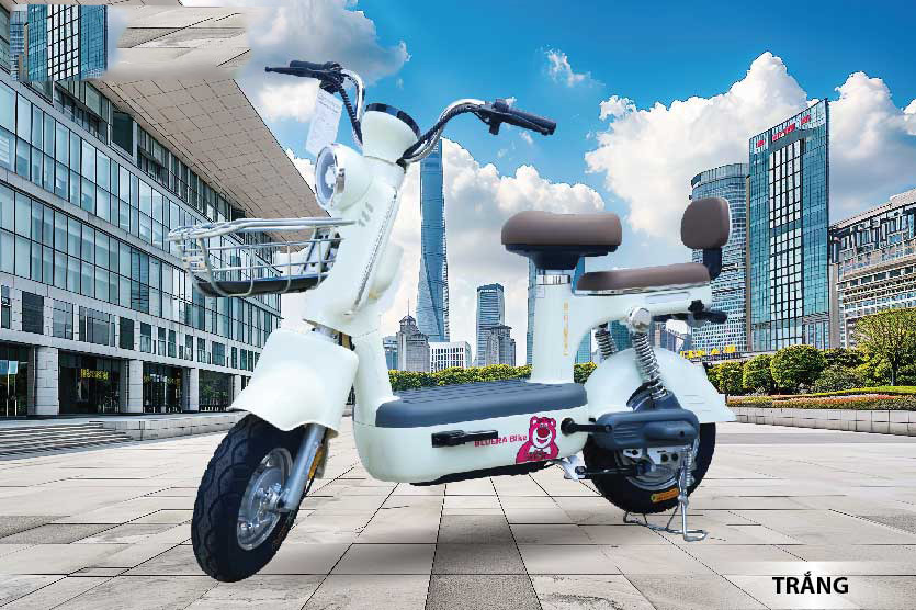 xe đạp điện bluera xe đạp điện bluera