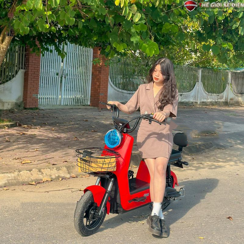 xe đạp điện cao cấp