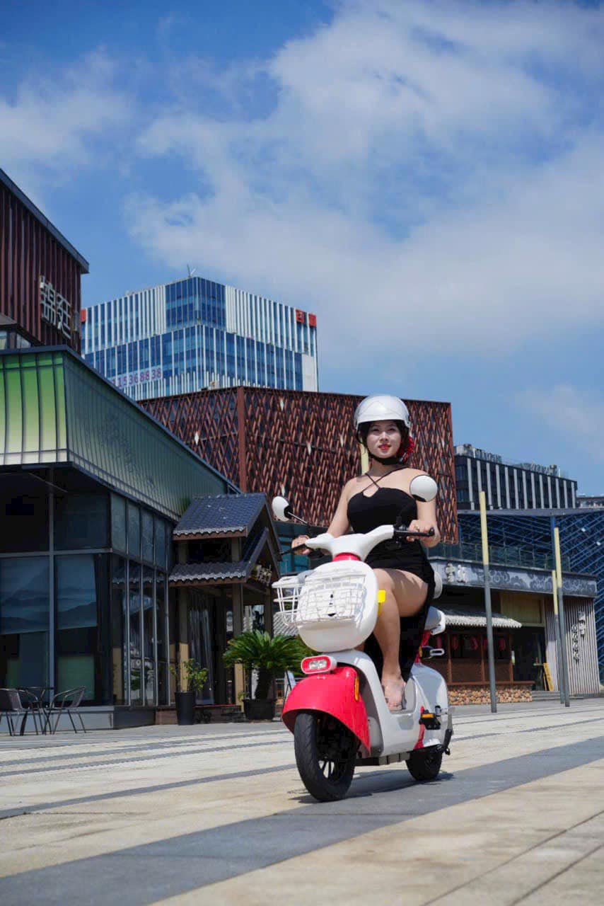 xe đạp điện vc k2 pro xe đạp điện vc k2 pro