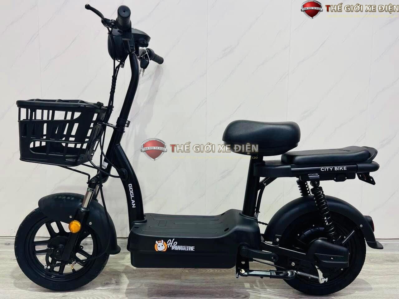 xe đạp điện chính hãng