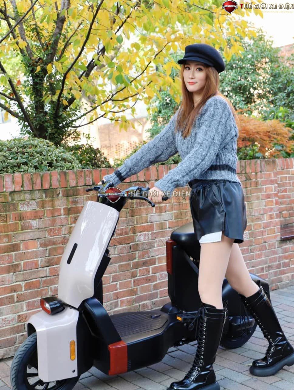 xe đạp điện hiện đại type1