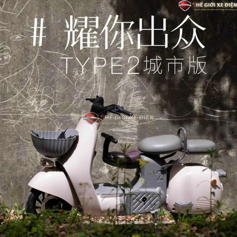 xe đạp điện type 2