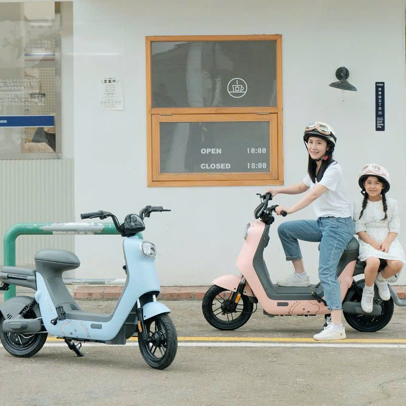 Chinh Phục Mọi Cung Đường Cùng Xe Đạp Điện QJTech V2