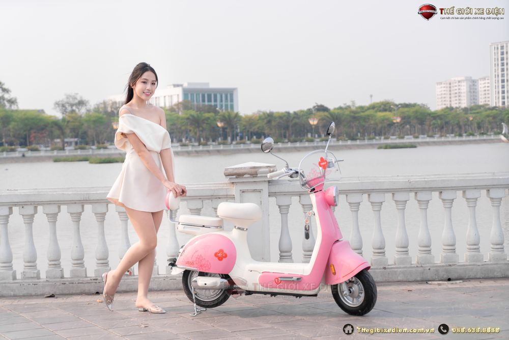 Cập Nhật Bảng Giá Tailg JS50 Chính Hãng Tại Đại Lý Mới Nhất Hôm Nay