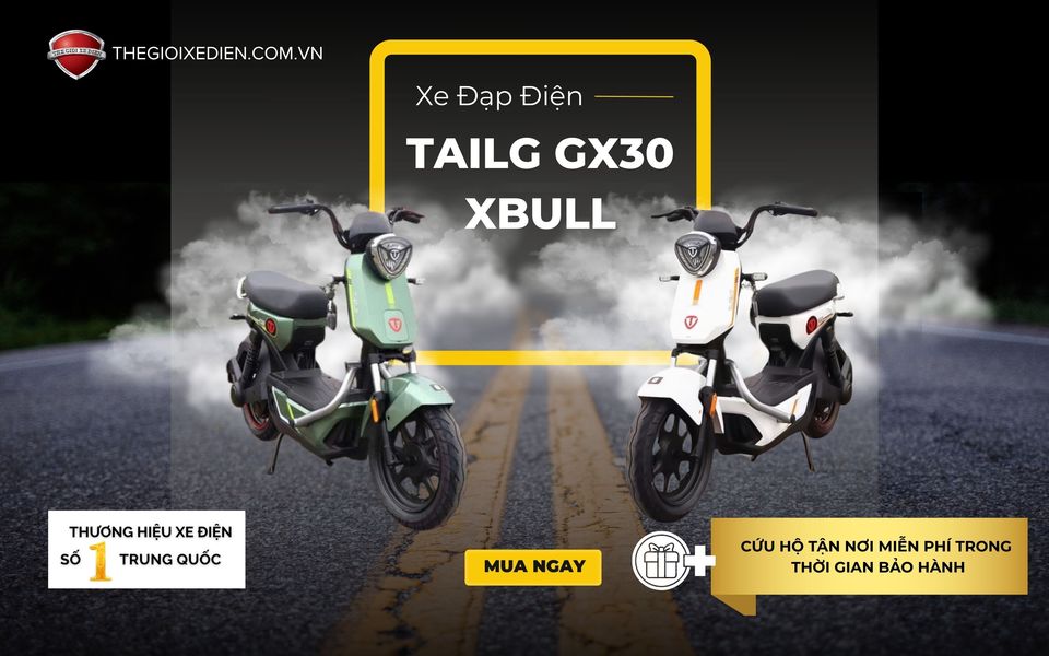 Tham Khảo Xe Đạp Điện Tailg GX30 Xbull Cho Những Chuyến Đi Dài