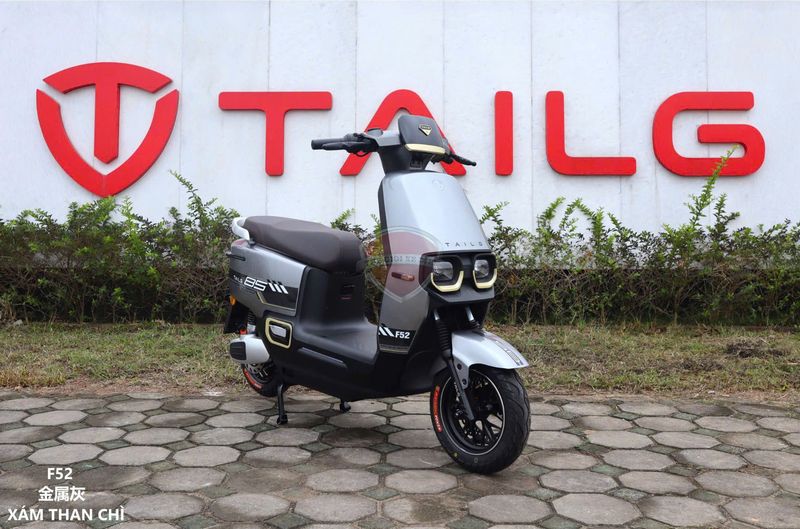 Tư Vấn Giá Xe Điện Tailg, Cập Nhật Giá Từng Dòng Xe Tại Cửa Hàng Chính Hãng