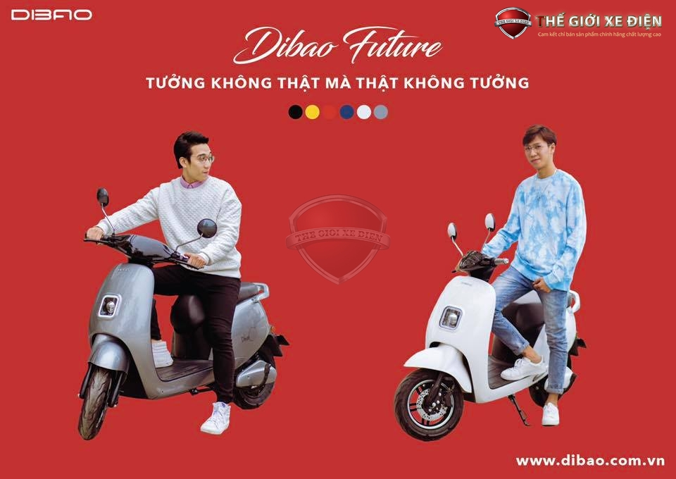 Bạn Biết Gì Về Chiếc Xe Máy Điện Dibao Future