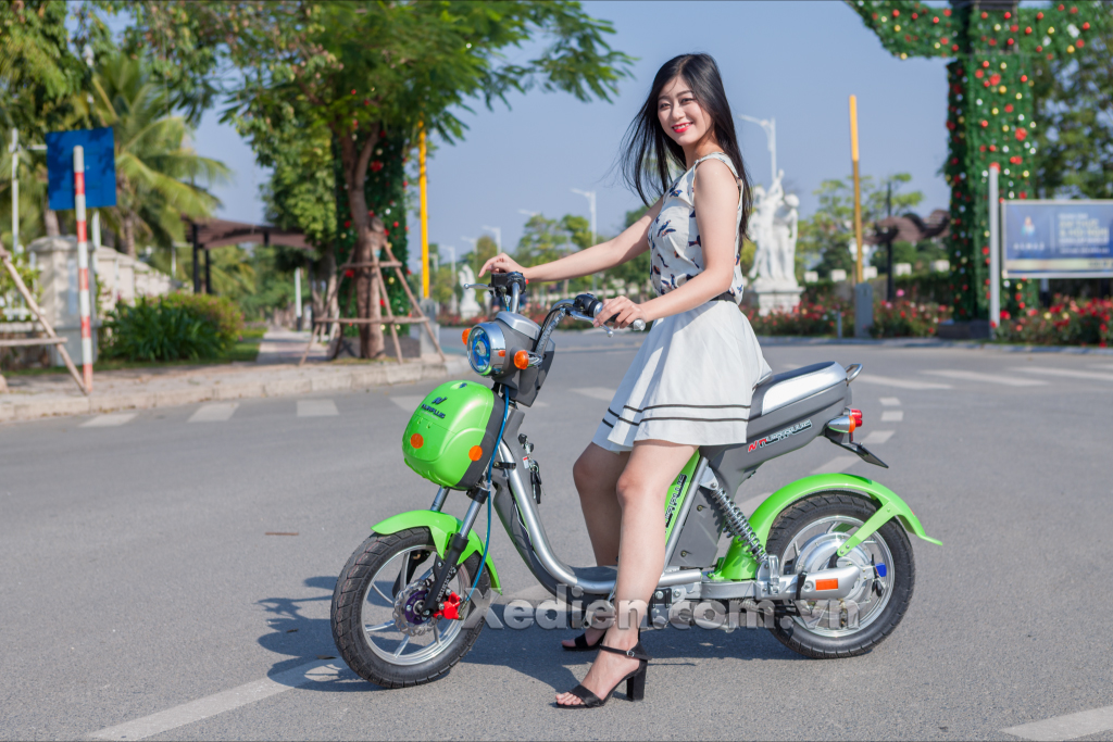 Xe đạp điện : Giá cả và sự lựa chọn