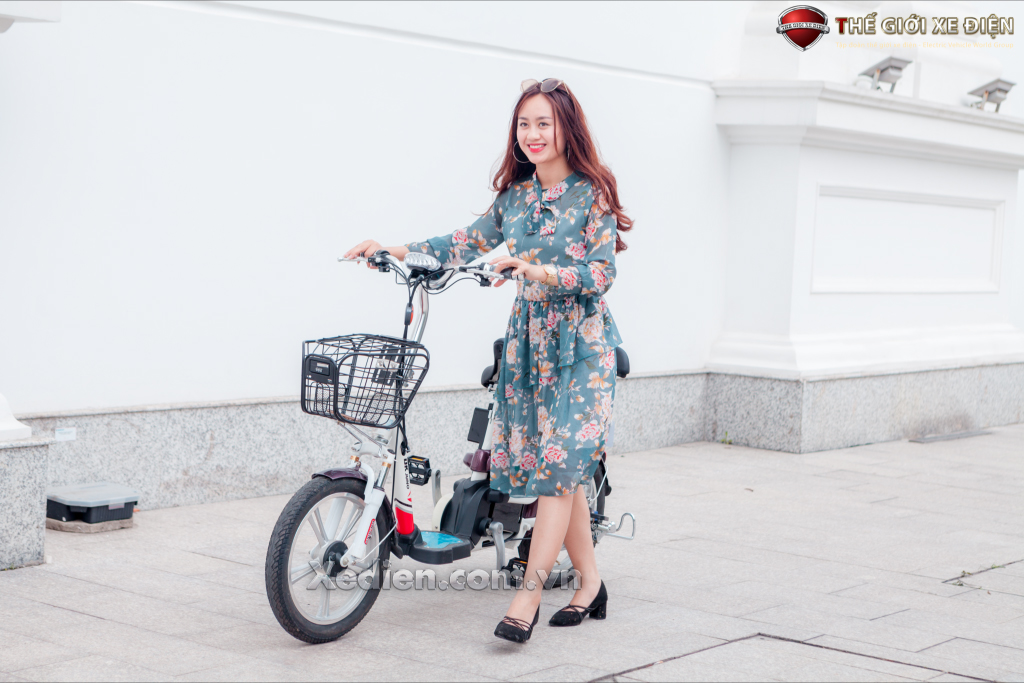 Xe đạp điện Xe đạp điện