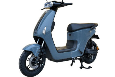 Xe Đạp Điện Dibao Ryan