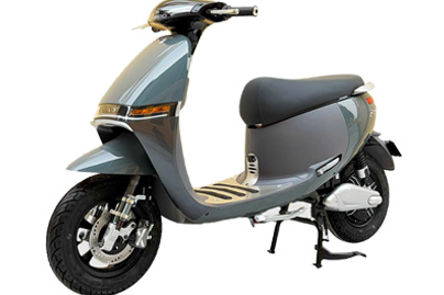 Xe Máy Điện Dibao Gogo Crown