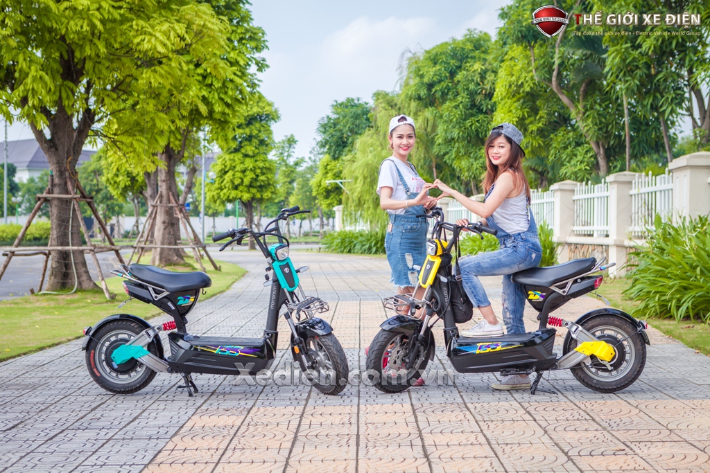 xe điện Giant 133DS Xe điện Giant 133DS