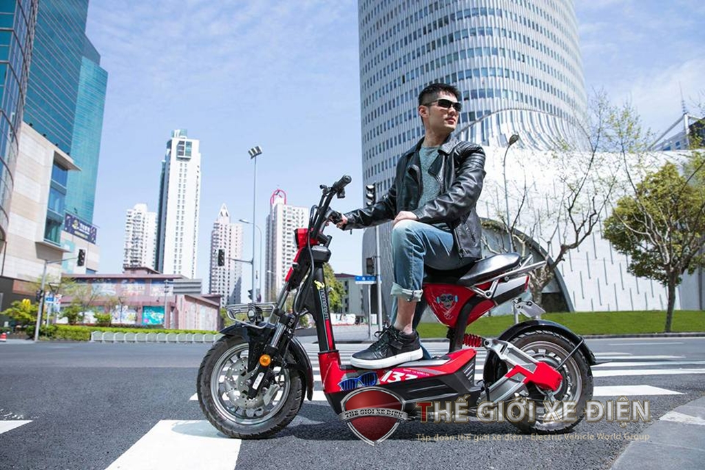 Xe điện Giant Xe điện Giant