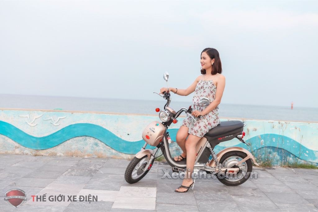 Xe điện Nijia Dibao Xe điện Nijia Dibao