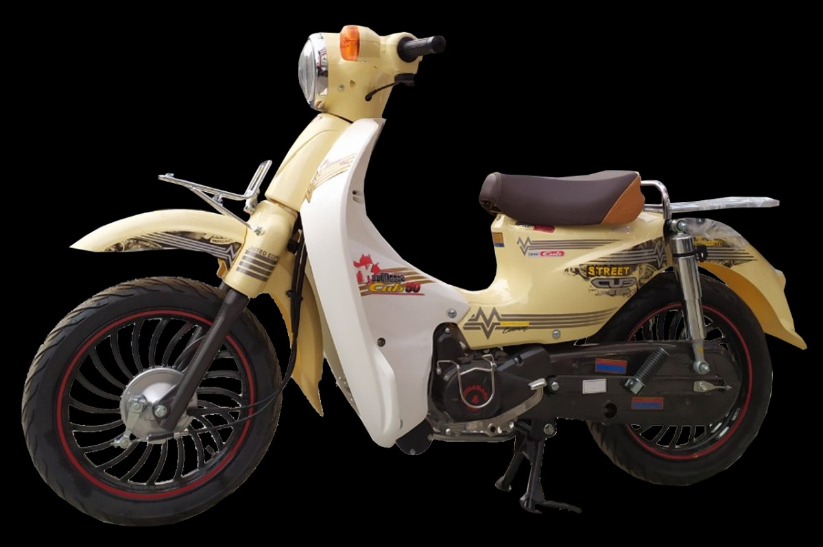 Cub Thái Lan Cub Thái Lan