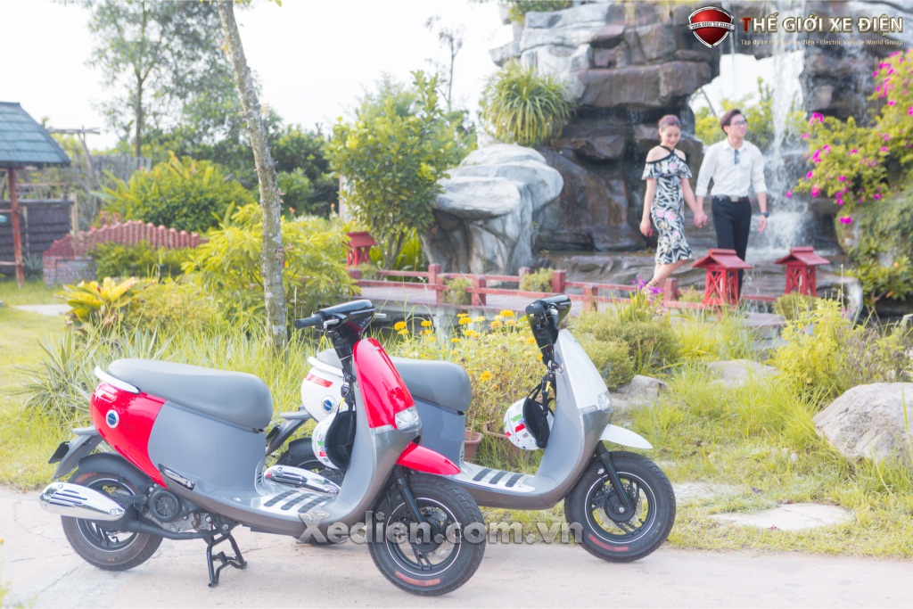 Xe máy điện xe-may-50cc-dibao-gogo